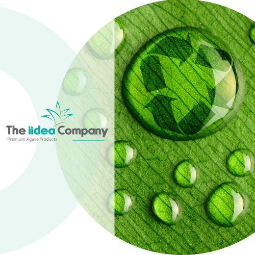 The Iidea Company�� ������ ���� ���